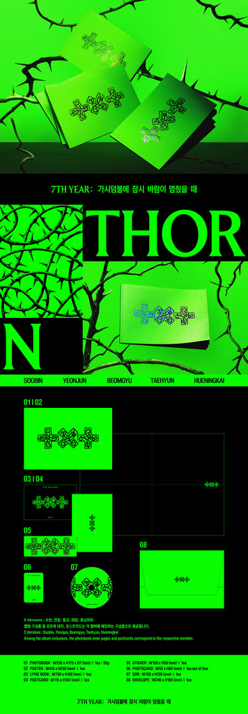 TXT - 7TH YEAR: A Moment of Stillness in the Thorns (THORN Ver