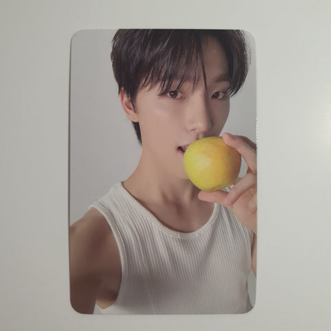 SEVENTEEN 17 Is Right Here DEAR (DINO)