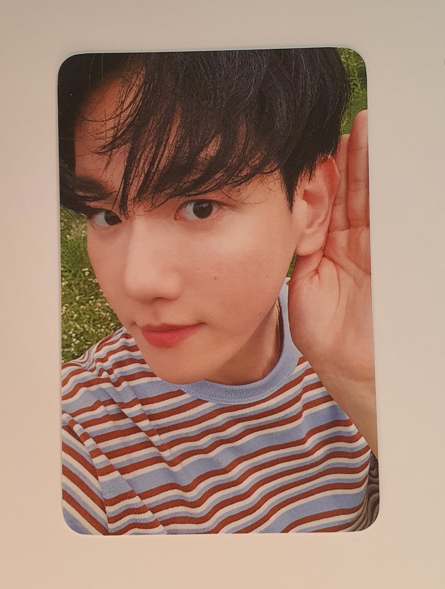 タレントカード Exo Baekhyun BAEKHYUN JAPAN 1st MINI ALBUM「BAEKHYUN」(通常盤)、EXO-L