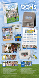 [PREORDER] : DOH KYUNG SOO (D.O) - 2027 Season’s Greetings [DOHS]