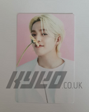 SEVENTEEN - CAFE IN SEOUL OFFICIAL PHOTOCARD