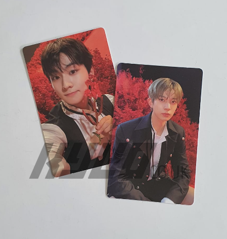 ENHYPEN - DARK BLOOD OFFICIAL PHOTOCARD