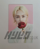 SEVENTEEN - CAFE IN SEOUL OFFICIAL PHOTOCARD