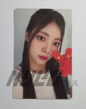 PURPLE KISS - SEASON'S GREETINGS 2024 PHOTOCARD