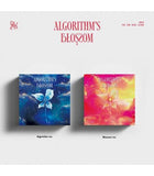 QWER - Algorithm's Blossom