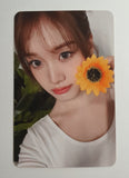 STAYC - I WANT IT APPLE MUSIC PHOTOCARD