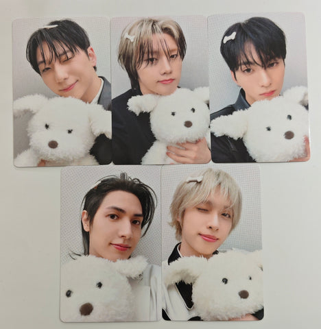 Xdinary Heroes - DEAD AND Hellolive Official Photocard