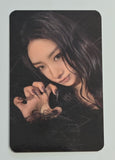 MEOVV - BITE NOW Cordiverse Official Photocard