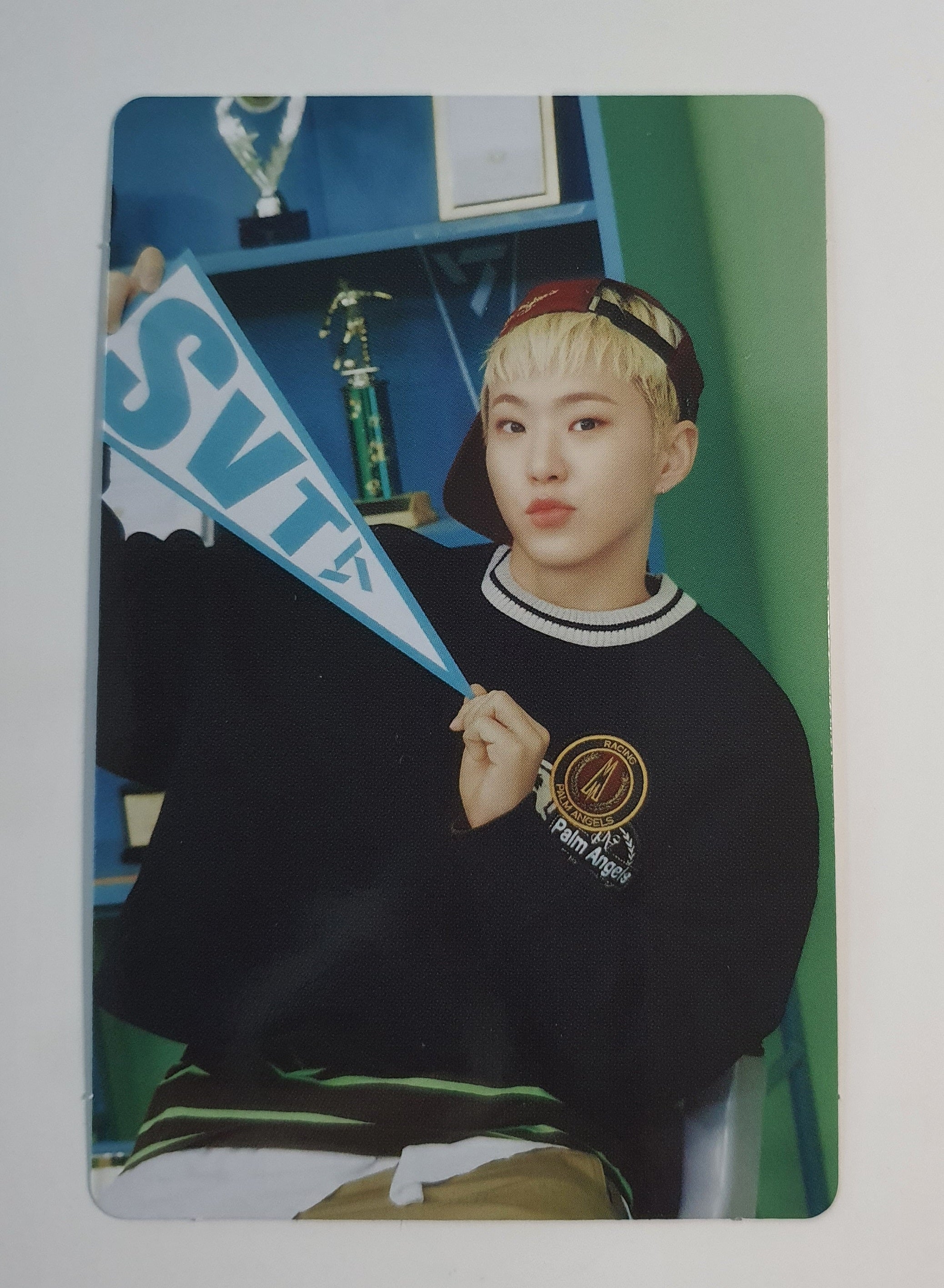 Seventeen in carat land ホシ hoshi rn-