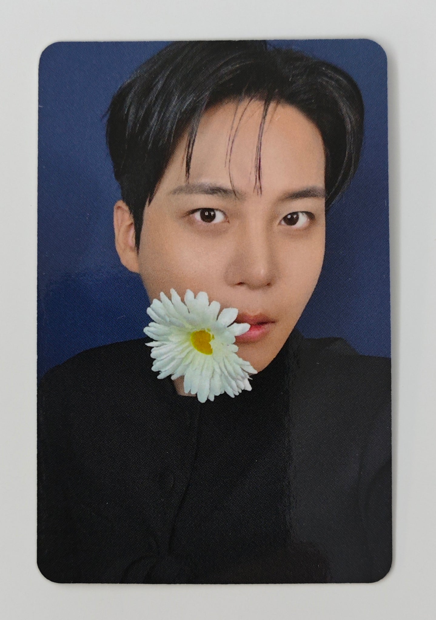 ATEEZ - GOLDEN HOUR : Part.4 APPLEMUSIC Official Photocard – KYYO
