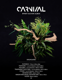 BVNDIT - Mini Album Vol. 2 - CARNIVAL (Korean Edition)