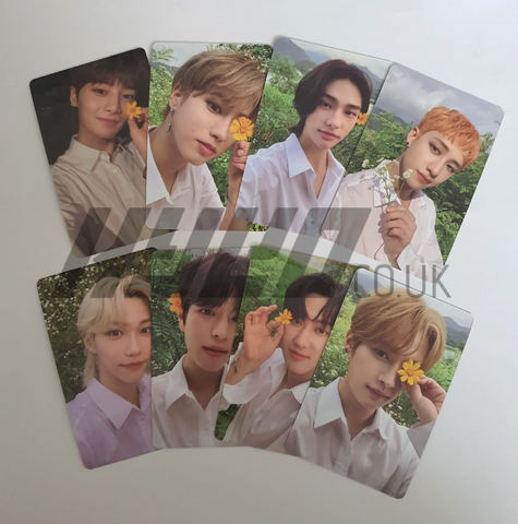 STRAY KIDS - NOEASY LIMITED OFFICIAL PHOTOCARD
