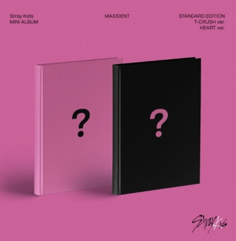 STRAY KIDS MAXIDENT STANDARD EDITION