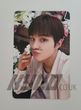 DOJAEJUNG ( NCT ) - PERFUME WITH MUU PHOTOCARD