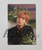 TXT - ACT : SWEET MIRAGE PHOTOCARD