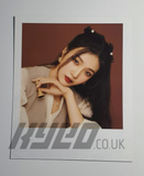 RED VELVET - SEASON'S GREETINGS 2022 OFFICIAL POLAROID