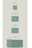 SEVENTEEN - FML (KiT)