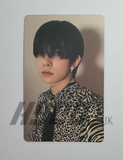 ENHYPEN - DIMENSION DILEMMA OFFICIAL PHOTOCARD